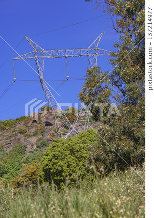 Electric Tower 137214977