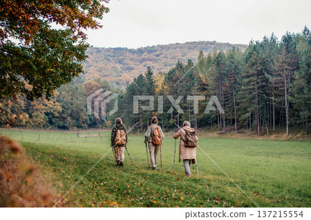Active senior women hiking with trekking poles and dog in nature. 137215554
