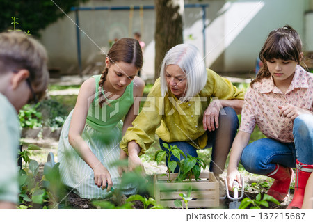 Portrait of students and female teacher at outdoor sustainable education class. Planting vegetable seedling, herbs in soil. 137215687