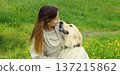 Happy owner young woman with Golden Retriever dog sitting on grass together in summer park 137215862