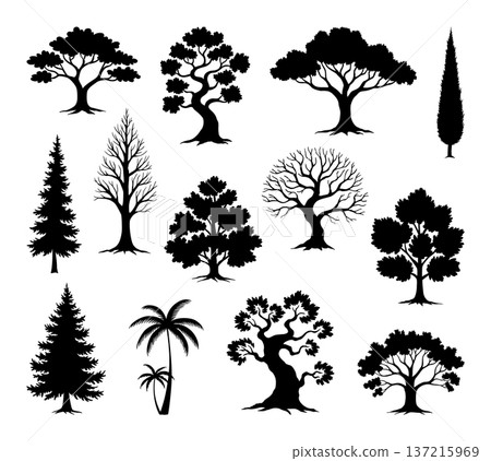 Silhouettes of various tree types, including palm, pine, and deciduous trees. Tree silhouettes in different shapes and sizes, showcasing diverse tree forms. Silhouette forest elements, vector set Silhouettes of various tree types, including palm, pine, and deciduous trees. Tree silhouettes in different shapes and sizes, showcasing diverse tree forms. Silhouette forest elements, vector set 137215969