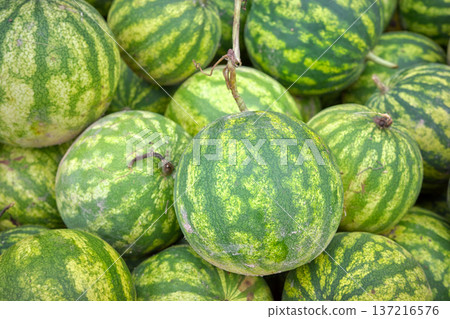 Photo of organic watermelons, selective focus. Photo of organic watermelons, selective focus. 137216576