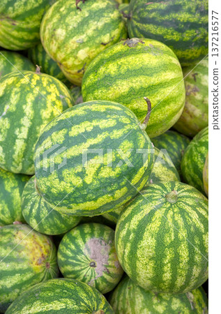 Photo of organic watermelons, selective focus. Photo of organic watermelons, selective focus. 137216577