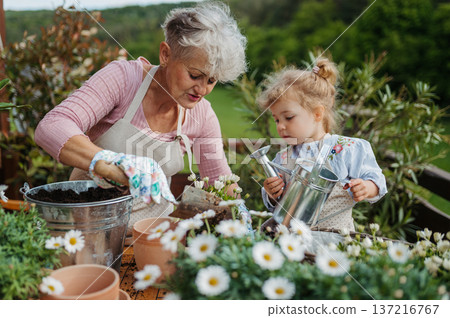 Senior grandmother with small granddaughter gardening during spring season. 137216767