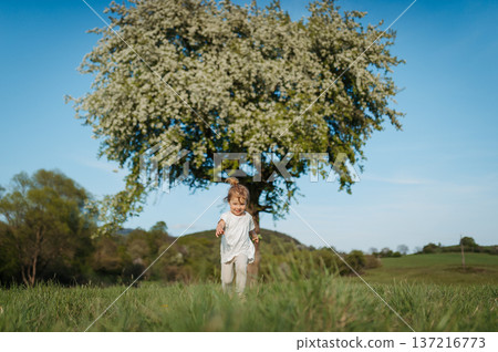 Rear view of small toddler girl walking on meadow. 137216773