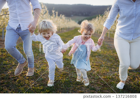 Family with two small children on wlak in blooming orchard. 137216808
