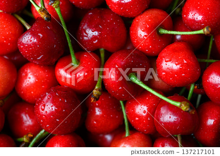 Close up of fresh cherries filling frame Close up of fresh cherries filling frame 137217101