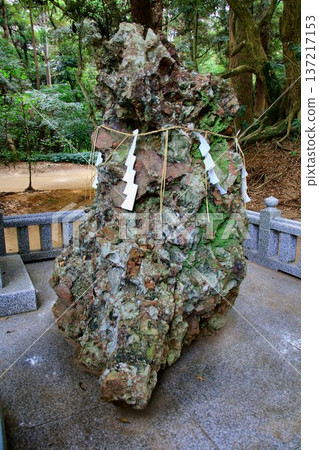 It is also sung in the national anthem "Kimigayo"... [Sazareishi] 137217153