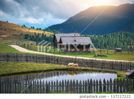 Two sheep drinking water near small pond with reflection in Alps 137217222