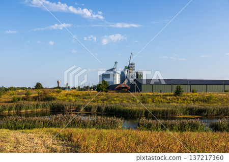 Golden fields stretch around a serene pond, with a grain storage facility and cranes rising against a clear blue sky, capturing rural life 137217360