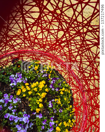 Vibrant pansies in a red tangled string planter in a sunny park during Easter time in the spring Vibrant pansies in a red tangled string planter in a sunny park during Easter time in the spring 137217496