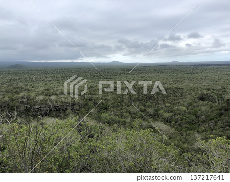 加拉巴哥群島,伊莎貝爾島 加拉巴哥群島,伊莎貝爾島 137217641