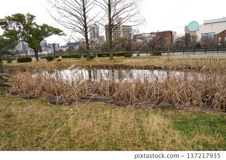 Scenery of Hyōtan Pond 137217935