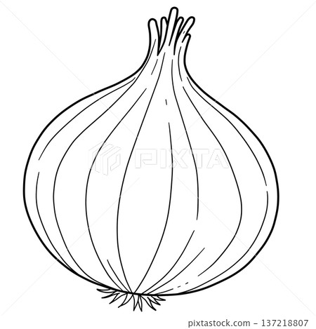 Various vegetable line drawings 137218807