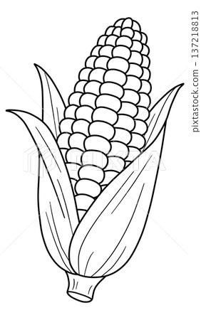 Various vegetable line drawings 137218813