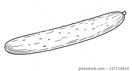Various vegetable line drawings Various vegetable line drawings 137218814