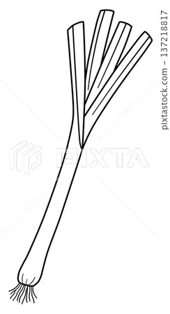 Various vegetable line drawings Various vegetable line drawings 137218817