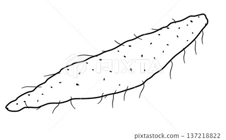 Various vegetable line drawings 137218822