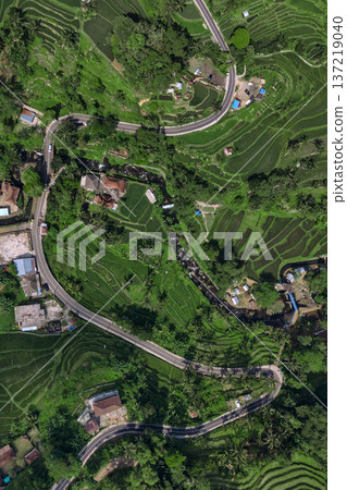 Terraced Rice Fields, Peaceful Rural Scene With Winding Roads And Green Paddies 137219040