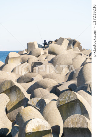 Tetrapods and anglers in Hasaki, Kamisu City Tetrapods and anglers in Hasaki, Kamisu City 137219236