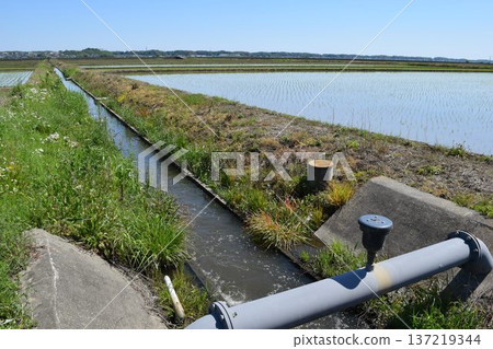 引水渠和排水渠茨城縣 引水渠和排水渠茨城縣 137219344