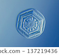 Natural snowflake crystal in blue background 137219436