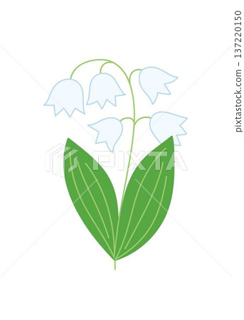 Fancy lily of the valley flower, simple hand drawn illustration, spring garden plant with stem leaves, cartoon design element, Easter holiday celebration clipart for cards, banner, springtime decor Fancy lily of the valley flower, simple hand drawn illustration, spring garden plant with stem leaves, cartoon design element, Easter holiday celebration clipart for cards, banner, springtime decor 137220150