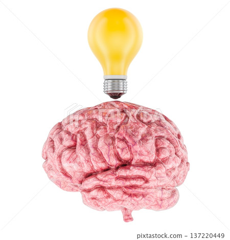 Human brain with yellow light bulb idea symbol and creativity concept, 3d rendering 137220449