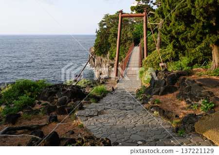 Kadowaki Suspension Bridge Jogasaki Coast scenery Kadowaki Suspension Bridge Jogasaki Coast scenery 137221129