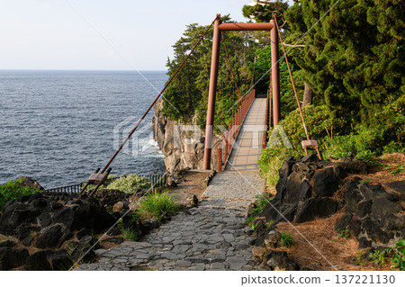Kadowaki Suspension Bridge Jogasaki Coast scenery 137221130