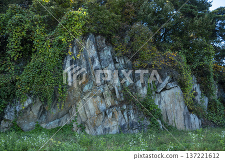 Han River bike path 137221612