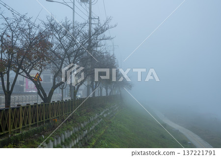 Han River bike path 137221791