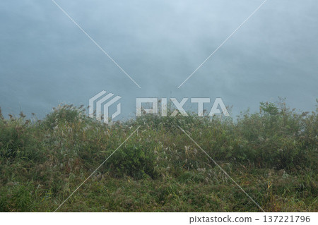 Han River bike path 137221796