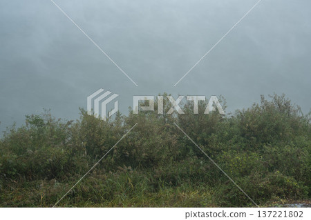 Han River bike path 137221802