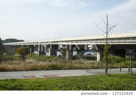 Han River bike path 137222424