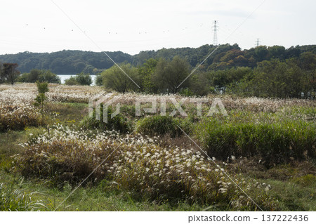 Han River bike path Han River bike path 137222436