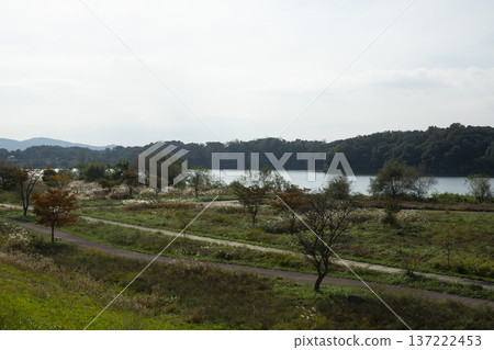 Han River bike path 137222453
