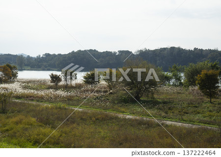 Han River bike path 137222464