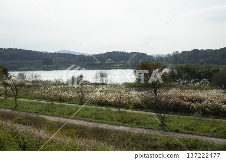 Han River bike path 137222477