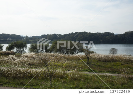 Han River bike path Han River bike path 137222489