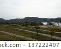 Han River bike path 137222497