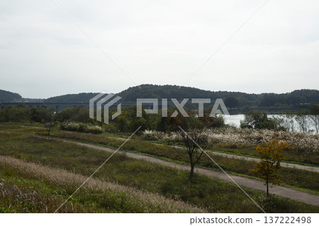 Han River bike path 137222498