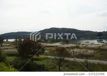 Han River bike path 137222500