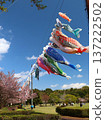 Koinobori at Oyama Park 137222502