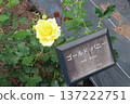 Igashira Park Rose Garden Gold Bunny 137222751