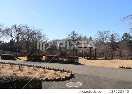 Scenery of Higashimatsuyama Peony Garden in Higashimatsuyama City, Saitama Prefecture 137222840