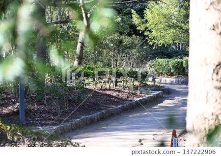 Park road Park road 137222906