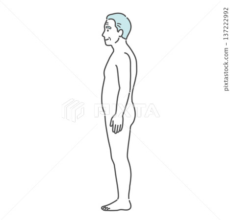 老年男性（長者）人體結構圖/全身模型插圖（側視圖） 137222992