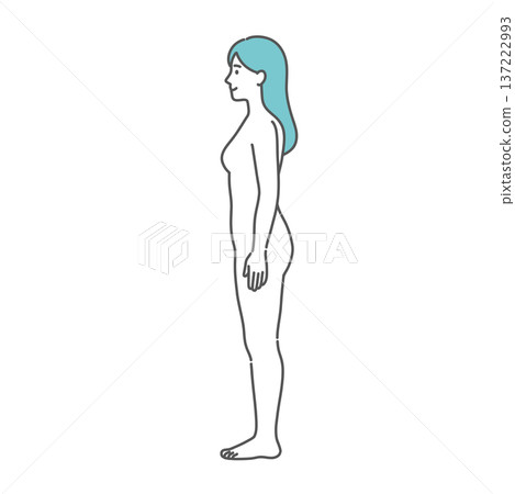 女性人體模型/全身模特兒插圖（側面視圖） 137222993