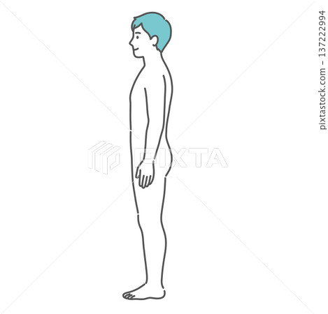 男性人體結構圖/全身模型插圖(側視圖) 男性人體結構圖/全身模型插圖(側視圖) 137222994